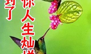 告别2022迎接2023祝福句子