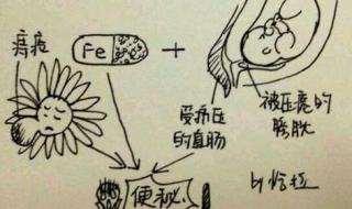 客服回应女子地铁上喝水被罚