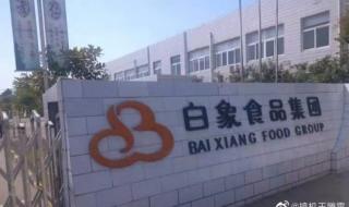 白象三分之一员工是残疾人