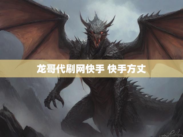 龙哥代刷网快手 快手方丈