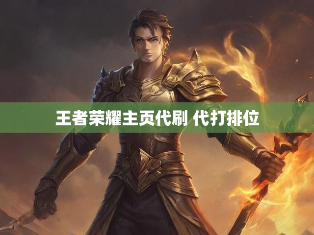 王者荣耀主页代刷 代打排位