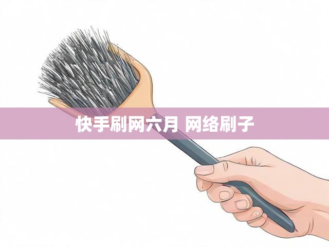 快手刷网六月 网络刷子