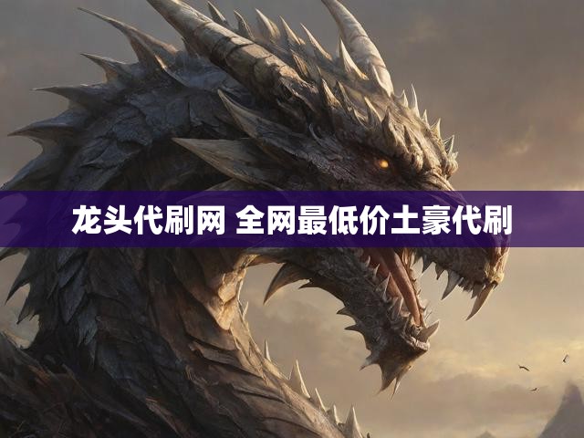 龙头代刷网 全网最低价土豪代刷