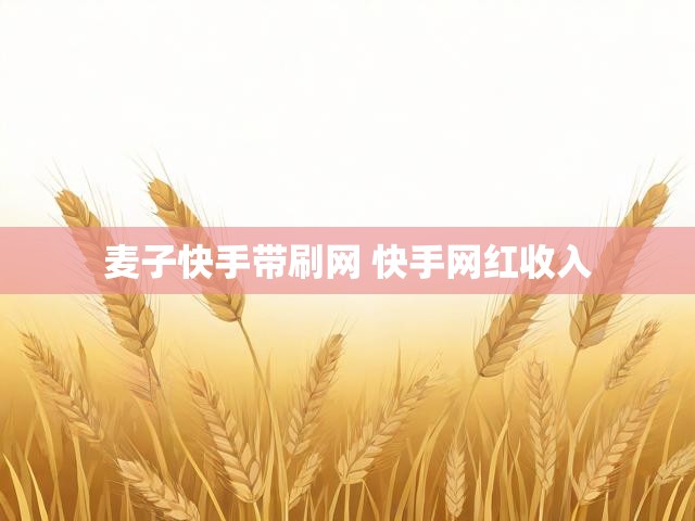 麦子快手带刷网 快手网红收入