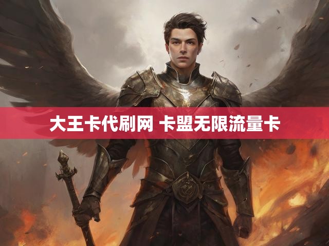 大王卡代刷网 卡盟无限流量卡