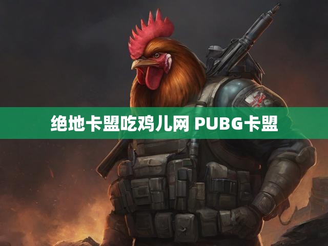 绝地卡盟吃鸡儿网 PUBG卡盟