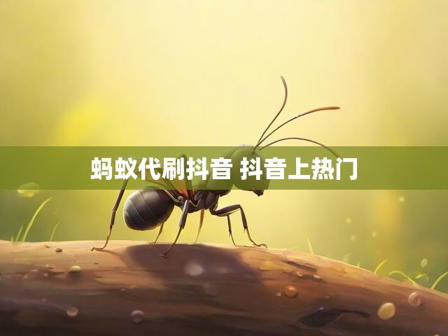 蚂蚁代刷抖音 抖音上热门