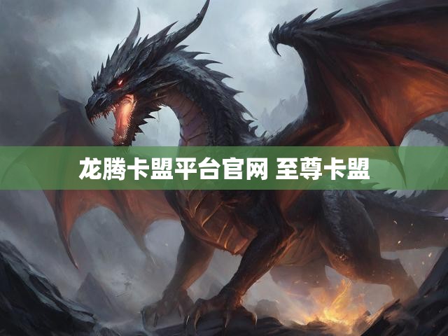 龙腾卡盟平台官网 至尊卡盟