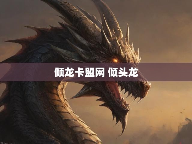 倾龙卡盟网 倾头龙