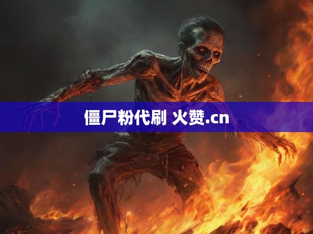 僵尸粉代刷 火赞.cn