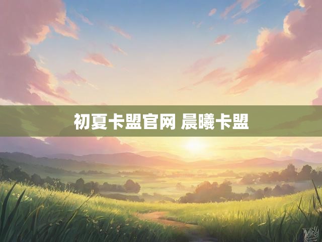 初夏卡盟官网 晨曦卡盟