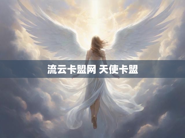 流云卡盟网 天使卡盟