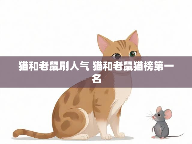 猫和老鼠刷人气 猫和老鼠猫榜第一名