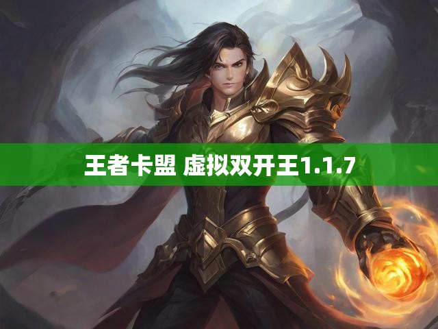 王者卡盟 虚拟双开王1.1.7