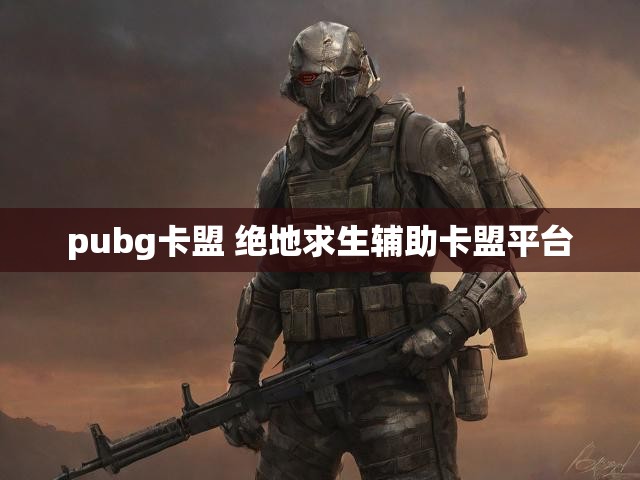 pubg卡盟 绝地求生辅助卡盟平台