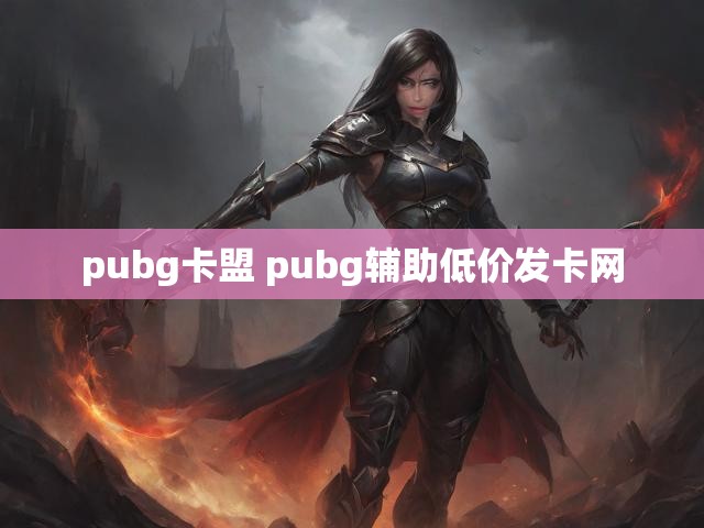 pubg卡盟 pubg辅助低价发卡网