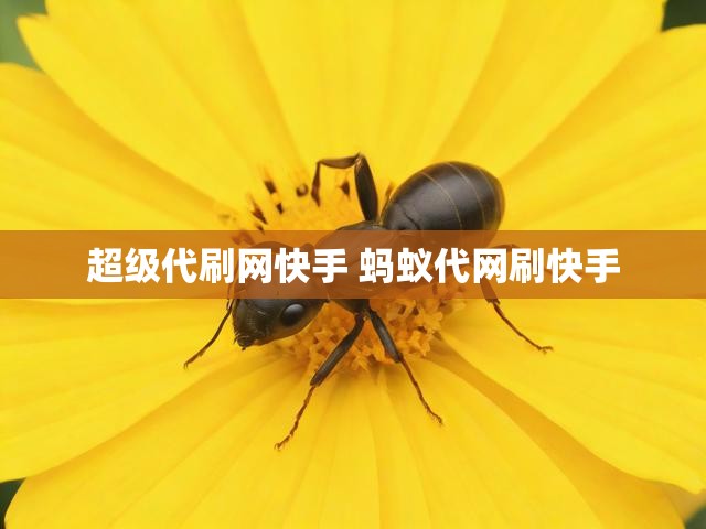超级代刷网快手 蚂蚁代网刷快手