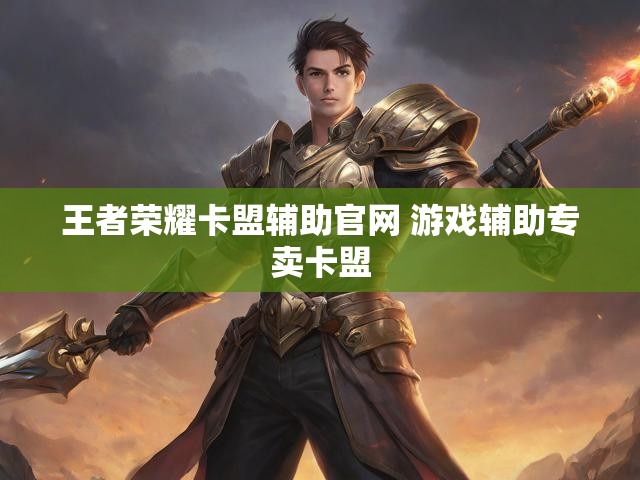 王者荣耀卡盟辅助官网 游戏辅助专卖卡盟