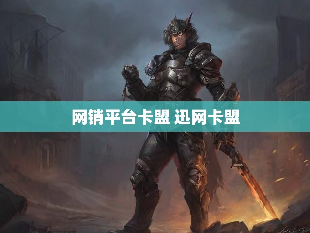 网销平台卡盟 迅网卡盟