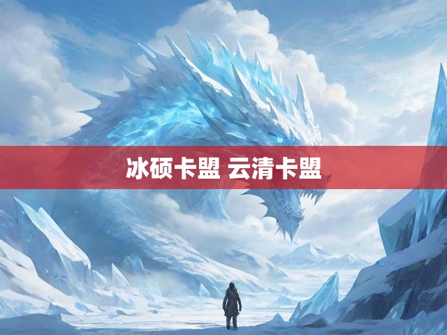 冰硕卡盟 云清卡盟