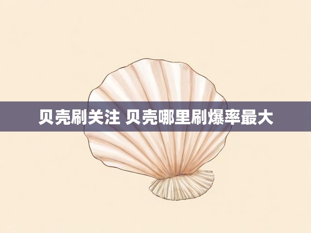 贝壳刷关注 贝壳哪里刷爆率最大