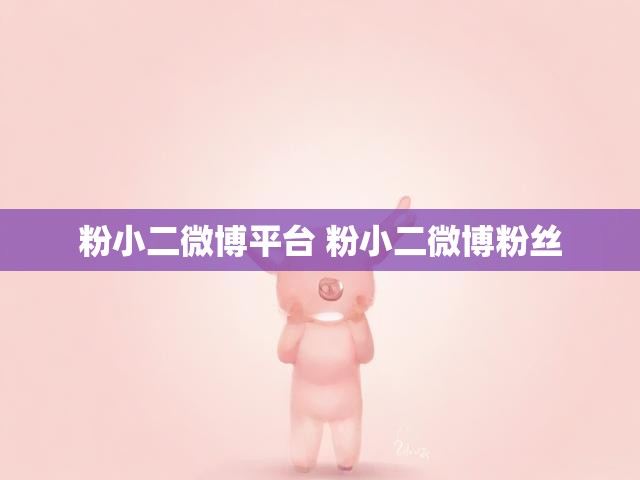 粉小二微博平台 粉小二微博粉丝