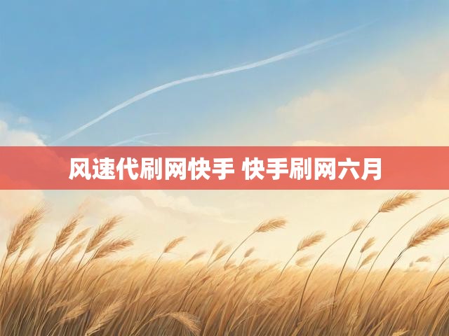 风速代刷网快手 快手刷网六月