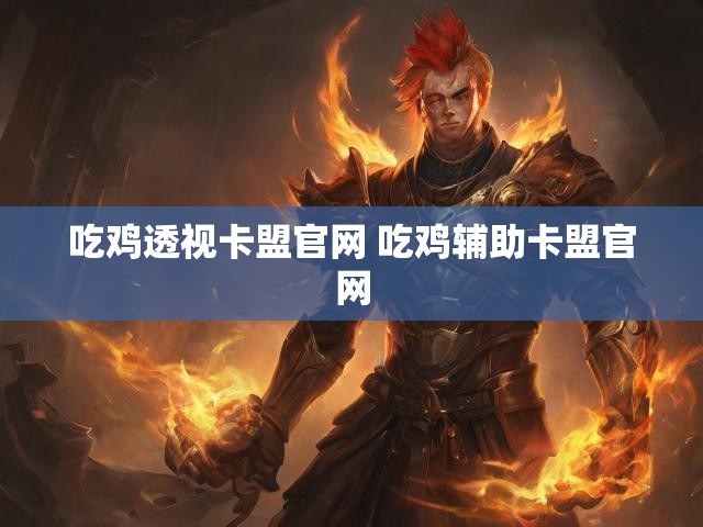吃鸡透视卡盟官网 吃鸡辅助卡盟官网