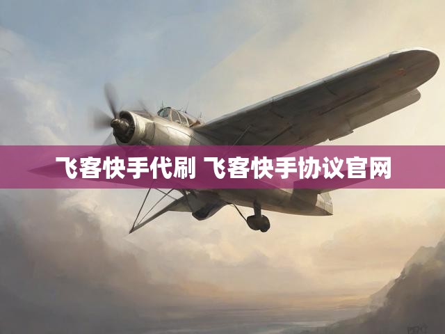 飞客快手代刷 飞客快手协议官网