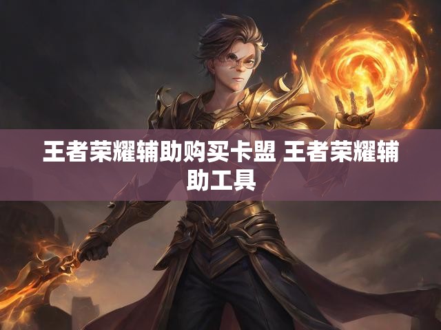 王者荣耀辅助购买卡盟 王者荣耀辅助工具