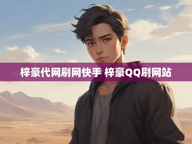 梓豪代网刷网快手 梓豪QQ刷网站