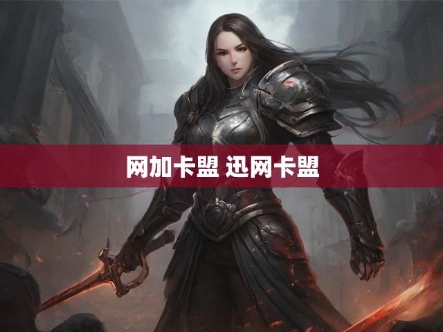 网加卡盟 迅网卡盟