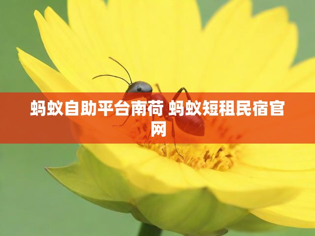 蚂蚁自助平台南荷 蚂蚁短租民宿官网