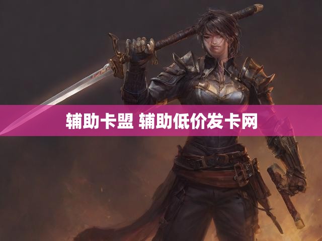 辅助卡盟 辅助低价发卡网