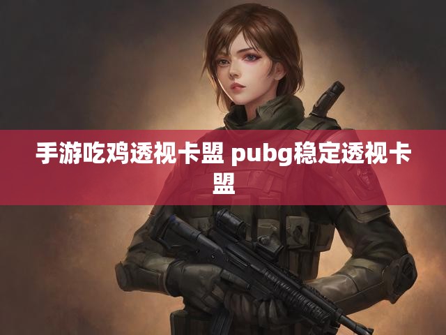 手游吃鸡透视卡盟 pubg稳定透视卡盟