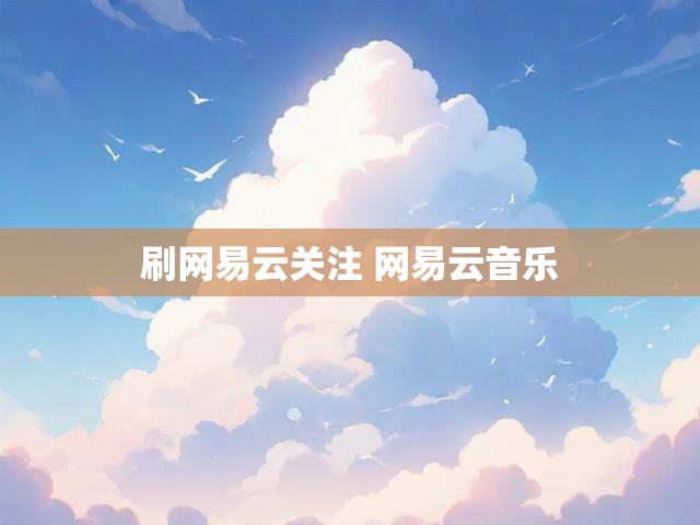 刷网易云关注 网易云音乐