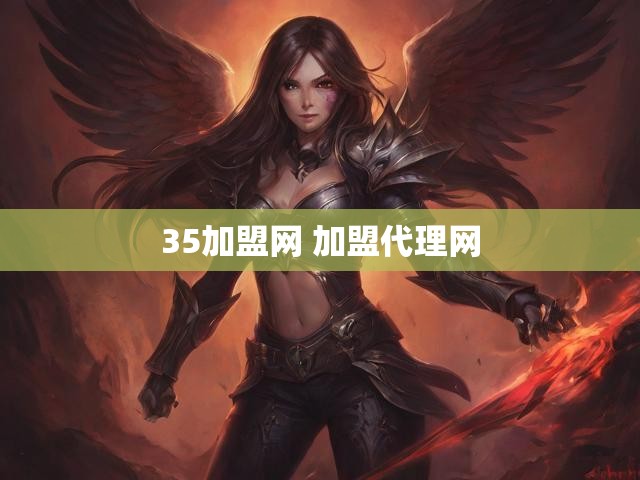 35加盟网 加盟代理网