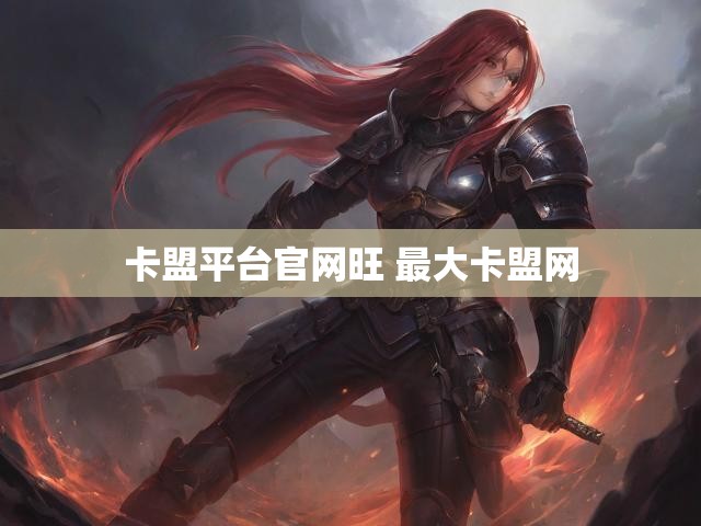 卡盟平台官网旺 最大卡盟网