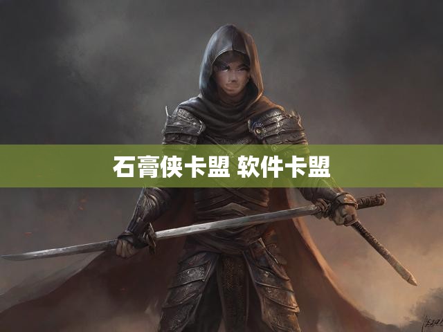 石膏侠卡盟 软件卡盟