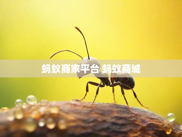 蚂蚁商家平台 蚂蚁商城