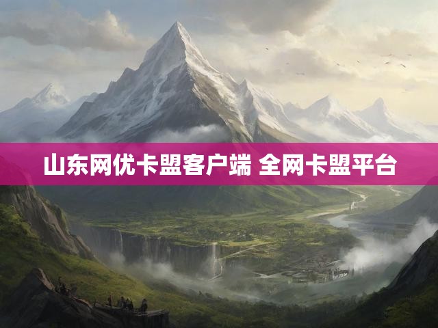 山东网优卡盟客户端 全网卡盟平台