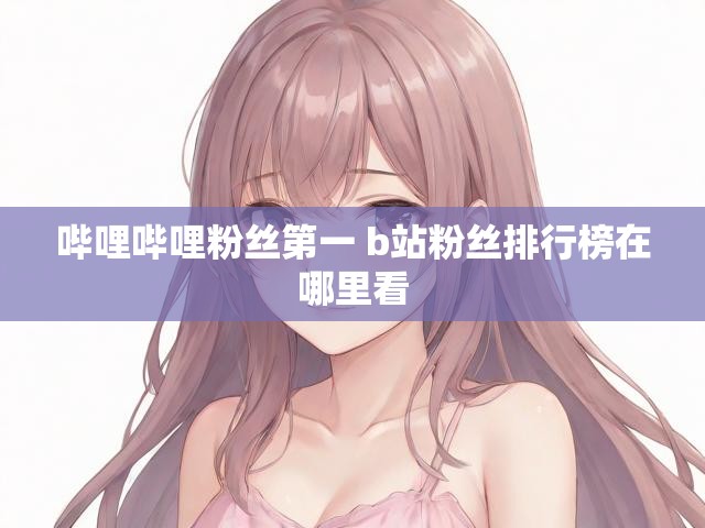 哔哩哔哩粉丝第一 b站粉丝排行榜在哪里看