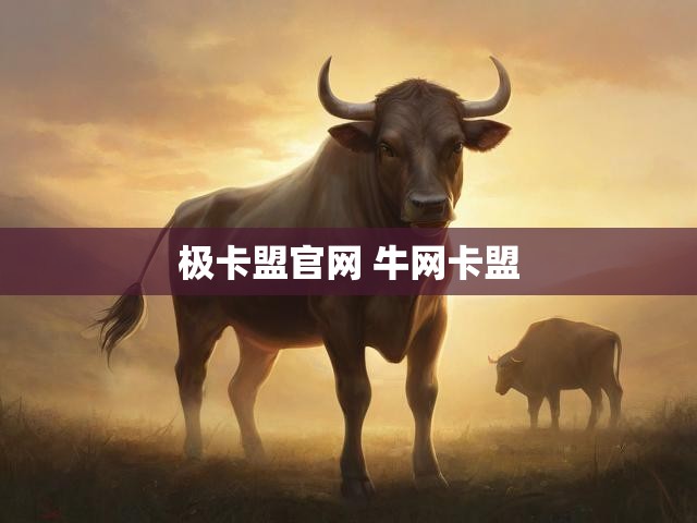 极卡盟官网 牛网卡盟