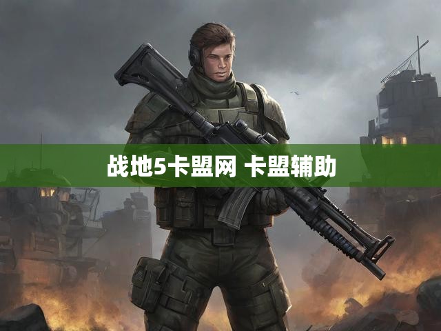 战地5卡盟网 卡盟辅助