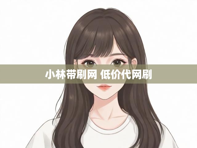 小林带刷网 低价代网刷