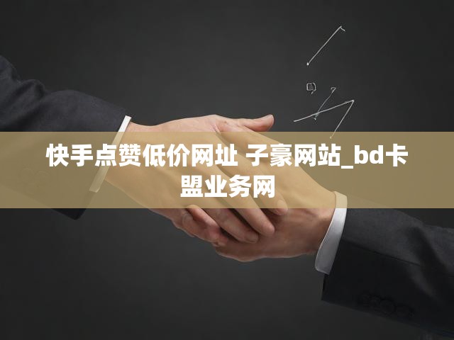 快手点赞低价网址 子豪网站_bd卡盟业务网