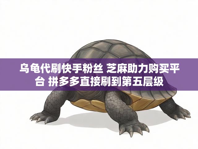乌龟代刷快手粉丝 芝麻助力购买平台 拼多多直接刷到第五层级