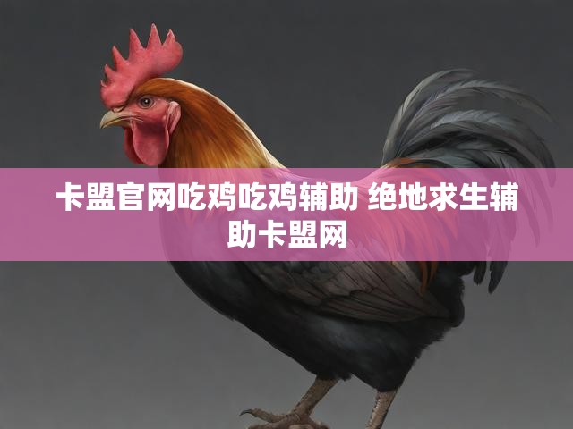 卡盟官网吃鸡吃鸡辅助 绝地求生辅助卡盟网