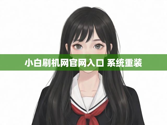 小白刷机网官网入口 系统重装