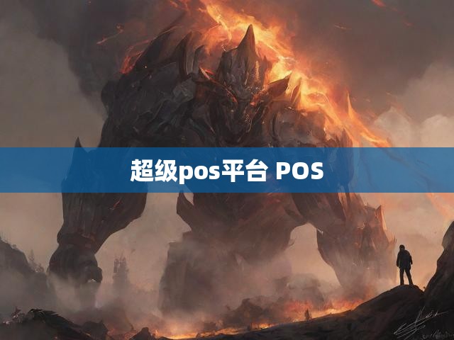 超级pos平台 POS